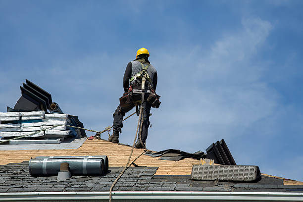 Professional Flat Roof Repair technician working in Brayton, IA